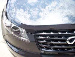 Picture019-1.jpg