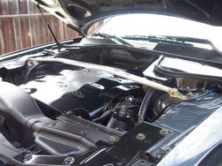 Picture007-2.jpg