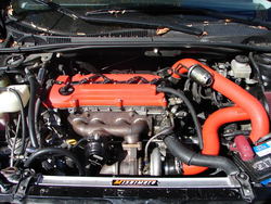 Pics089.jpg