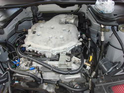 DSC00055.jpg