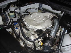 DSC00056.jpg