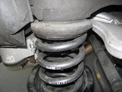 rear_springs_1.jpg