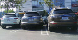 DSC01861.jpg