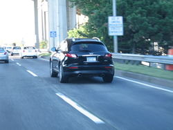 IMG_3184-1.jpg
