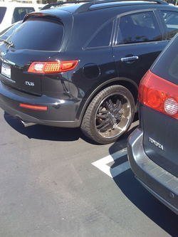 IMG_0075.jpg
