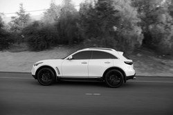 IMG_9027.jpg