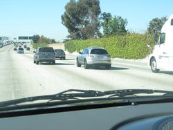 IMG_1743.jpg
