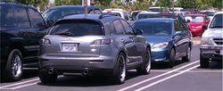 IMAG0116-1.jpg