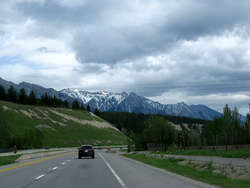 IMG_2501_1.jpg