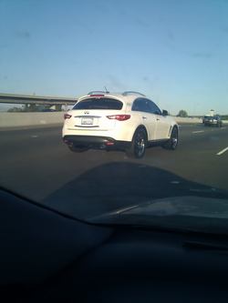IMG_20110627_191228.jpg