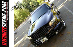 deecarp_DEC_07.jpg