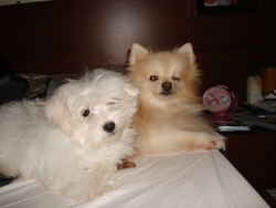 DSC00009.jpg