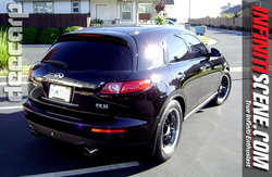 deecarp_JAN_08.jpg
