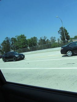 IMG_0451.jpg