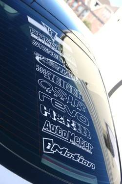 TTBug0208108.jpg