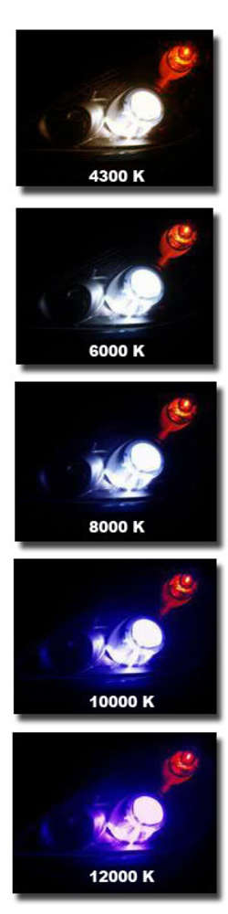 CompareHIDBulbs.jpg
