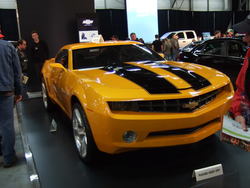 March1b2008004.jpg