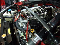 March1b2008012.jpg