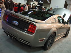 March1b2008026.jpg