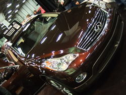 March1b2008032.jpg