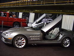 March1b2008052.jpg
