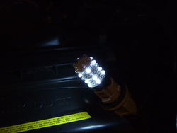 March12008011.jpg