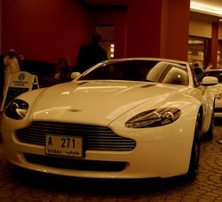 DSC_1036.jpg