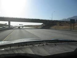 IMG_3691.jpg