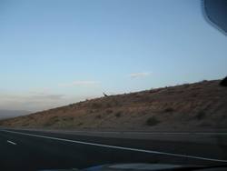 IMG_3754.jpg
