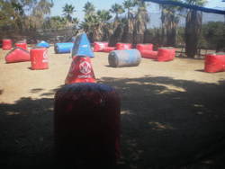 PIT2.jpg