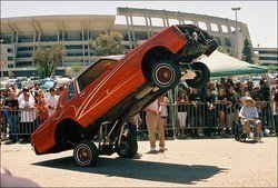 bounce1.jpg