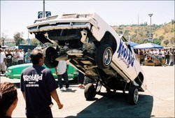 bounce2.jpg