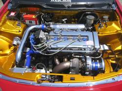 IMG_7628.jpg