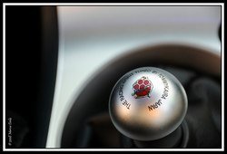 2636883918_65e38e880e_b.jpg