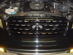 DSC03655.jpg