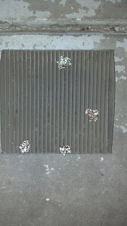9392919765_ce096386e2_c.jpg