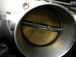 DSCN1658.jpg