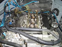 fx20.jpg