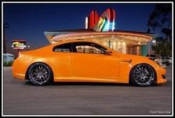 DSC_5812copyLargejpg.jpg