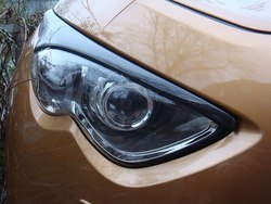 87164568.jpg