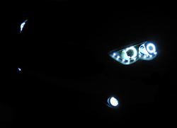 IMG_0943.jpg