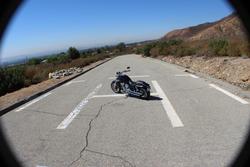 IMG_1426_50.jpg