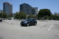 IMG_2431.jpg