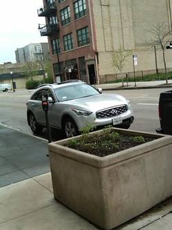 IMG00008-20090429-0719.jpg