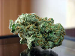 DSCN7406.jpg