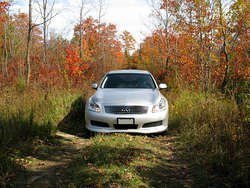 IMG_2177_1.jpg