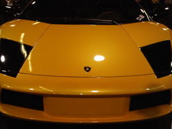 IMG00158-20091016-1747.jpg
