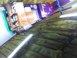 100_3715.jpg