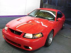 redstang1.jpg