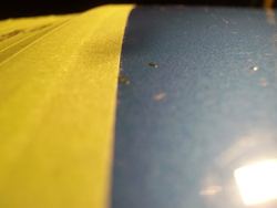 esterolblue4.jpg